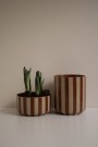 DBKD - Line Bowl, Stripe Nougat thumbnail