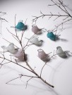 Magnor - Lucky Bird, Rosa thumbnail