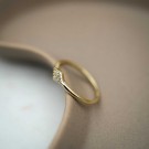 Pan Jewelry - Ring i forgylt sølv med zirkonia thumbnail