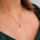 Pan Jewelry - Smykkesett i forgylt sølv med zirkonia thumbnail