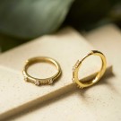 Pan Jewelry - Øreringer i forgylt sølv med zirkonia thumbnail