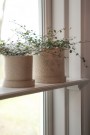 DBKD - Grow Pot Ø13cm, Creme Structure thumbnail