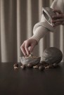 DBKD - Walnut Bowl, Shiny Mole thumbnail