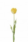 Mr Plant - Tulipan Gul, 67cm thumbnail