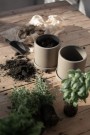 DBKD - Grow Pot Large, Dust thumbnail