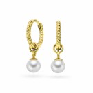 Pan Jewelry - Øreringer i forgylt sølv med perle thumbnail