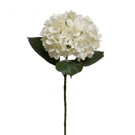 Mr Plant - Hortensia Hvit, 65cm
