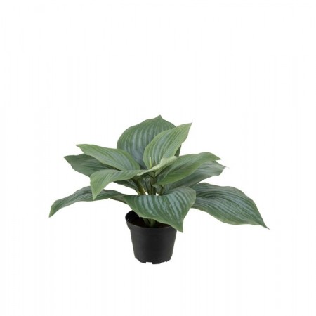 Mr Plant - Grønn Plante, 20cm