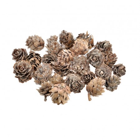 Holmen - Lerkekongler, 2-4cm