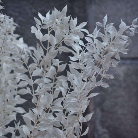Floradekor - Ruskus, Hvit