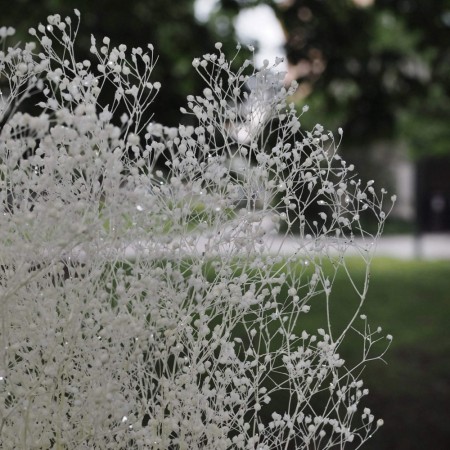 Floradekor - Mini Baby´s Breath, Glitter