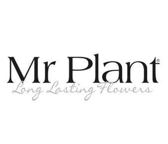 Mr Plant