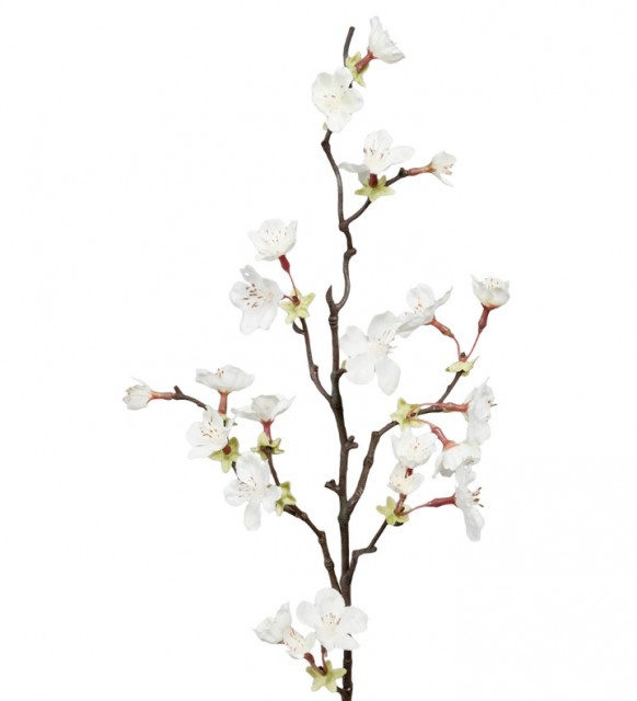 Mr Plant - Kirsebærgren Hvit, 60cm