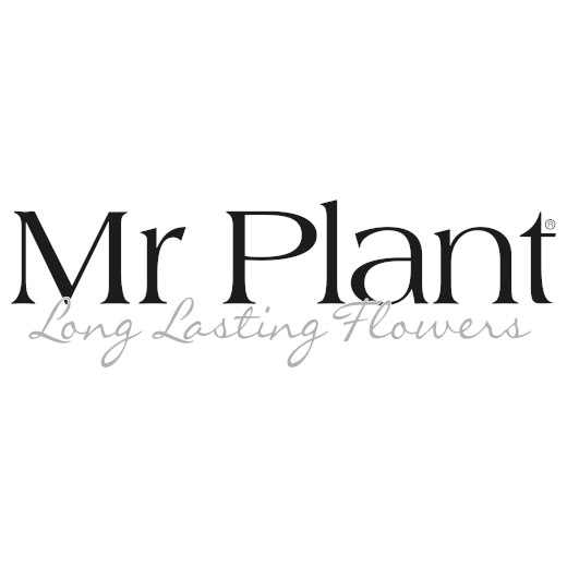 Mr Plant