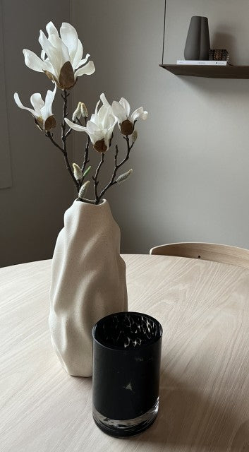 Magnolia, 50cm