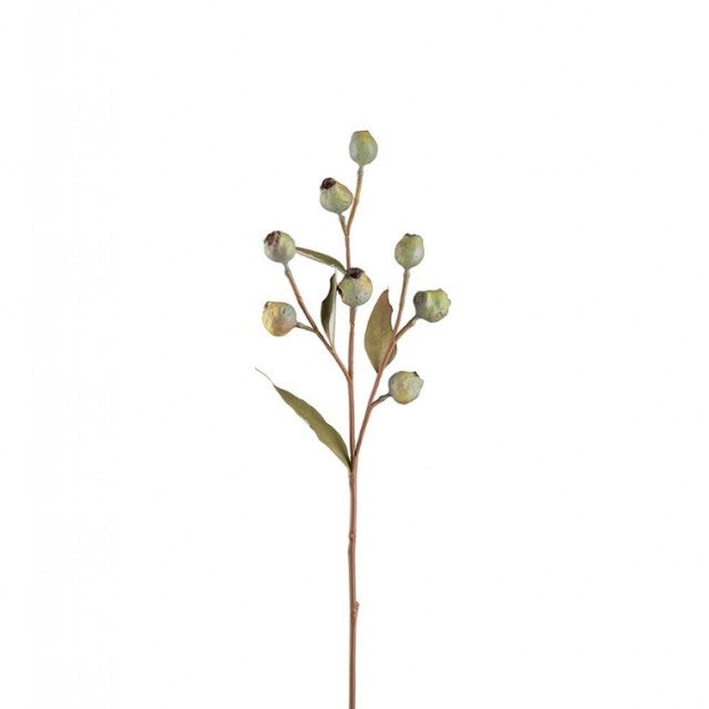 Eucalyptus med bær grønn, 65cm