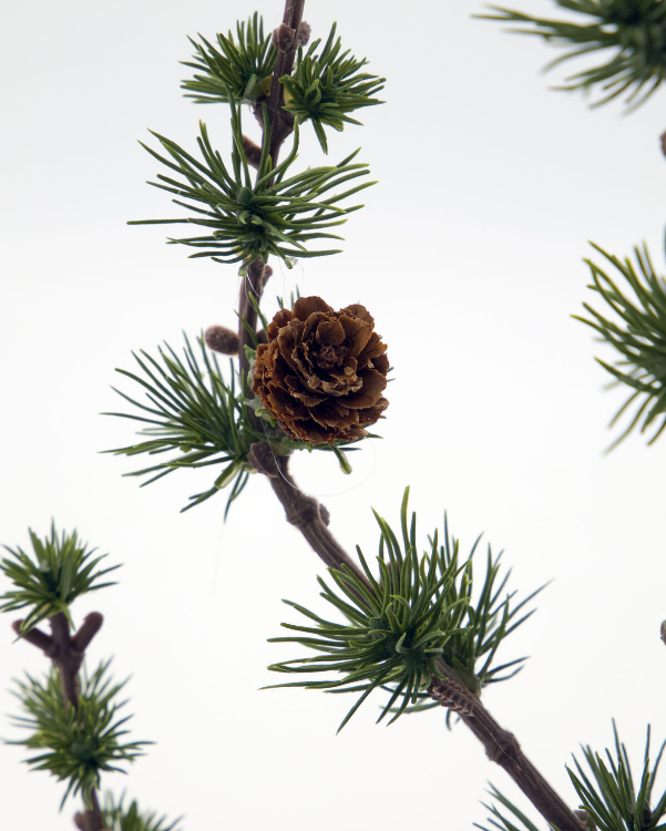 Juletre, HDStay