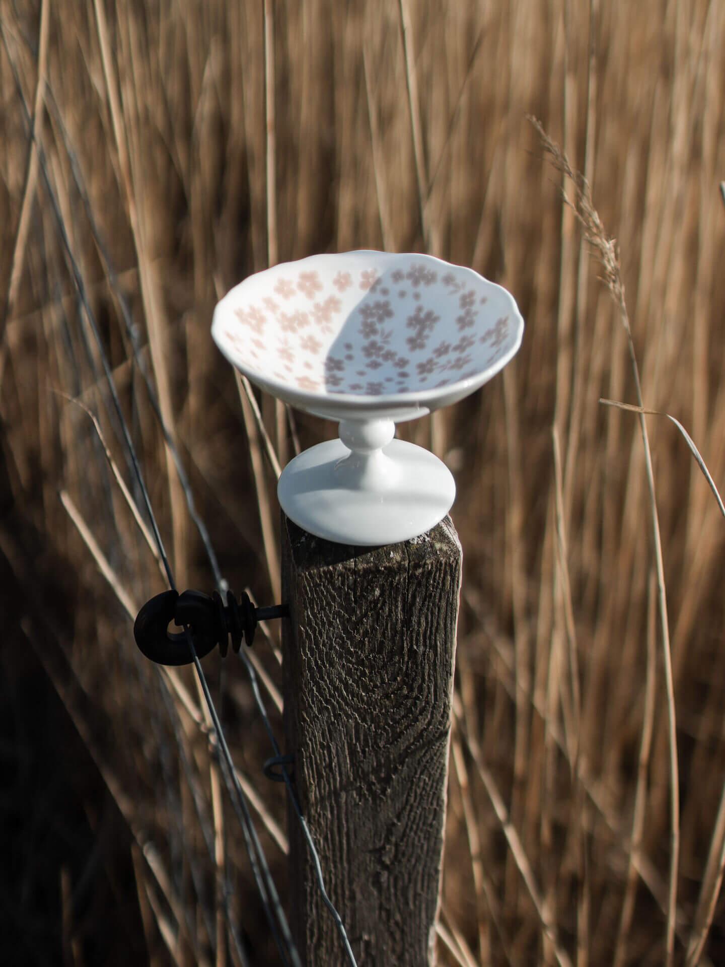 Slåpeblom rosa skål med stett, 12 cm