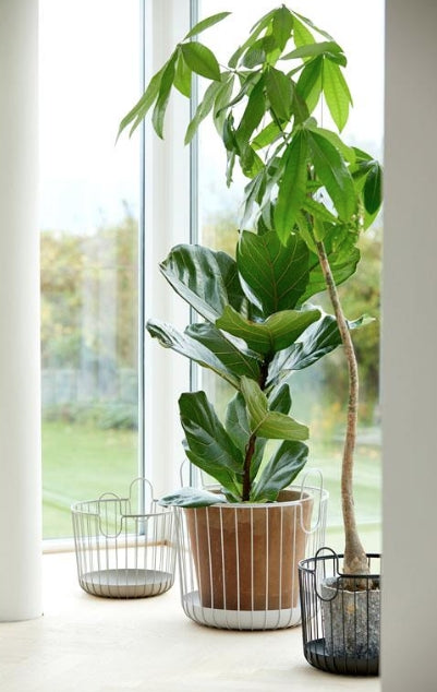 Kurv Inu 30x30cm, Svart