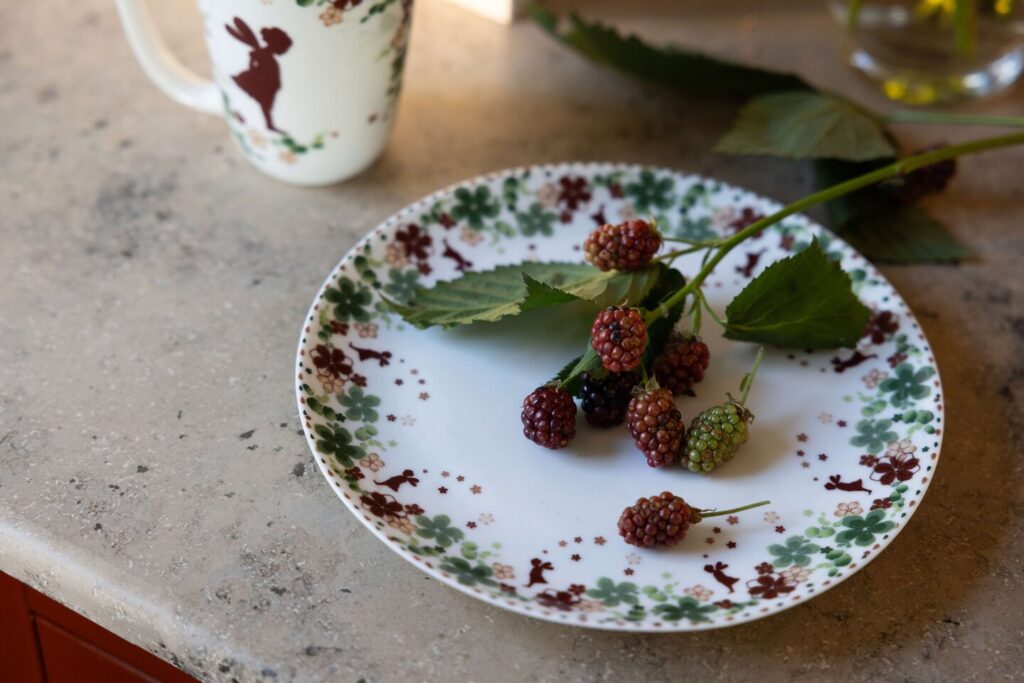 Wik & Walsøe Alveblomst asjett, 21 cm