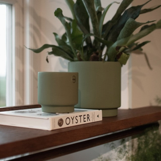 Solid Potte Ø10cm, Green