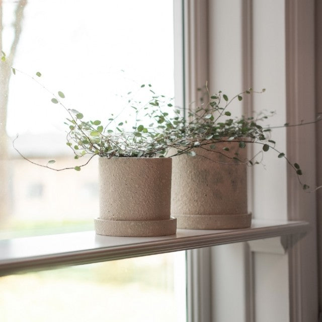 Grow Pot Ø10cm, Creme Structure