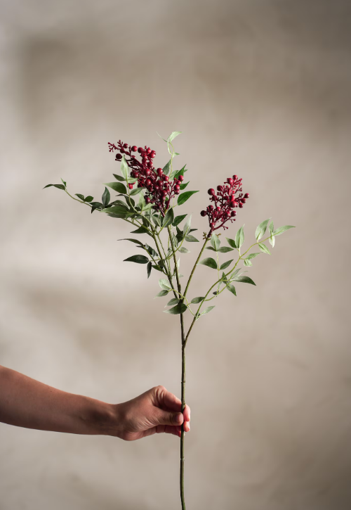 Bærkvist Rød, 75 cm