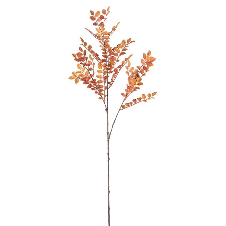 Ruscus, 95 cm