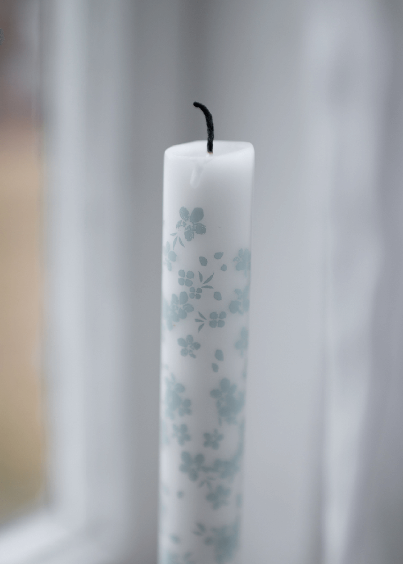 Slåpeblom blå kronelys, 2 pk