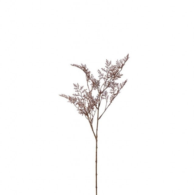 Limoniumskvist Brun, 65cm