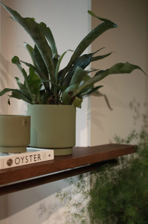 SOLID POTTE Ø16CM, GREEN