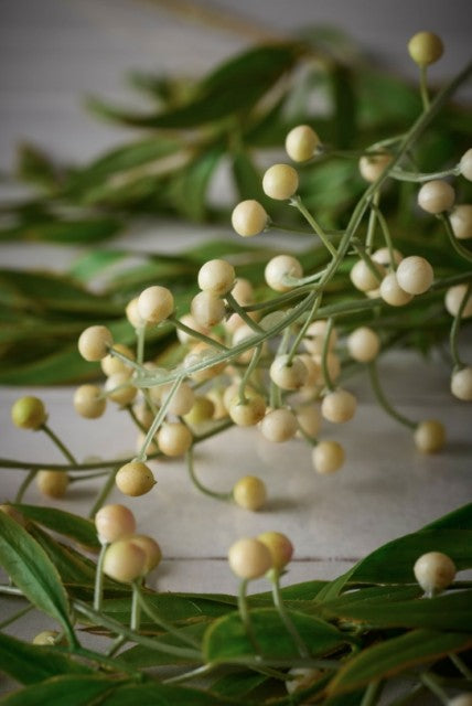 Hengende Bærkvist, 75cm