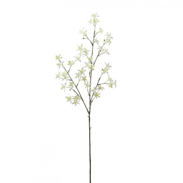 Sildreblomst Grønn/Hvit, 75cm