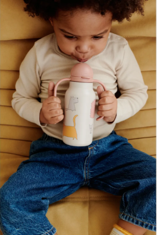 Kimmie Drikkeflaske m/håndtak 250ml, Cats and Dogs / Sandy