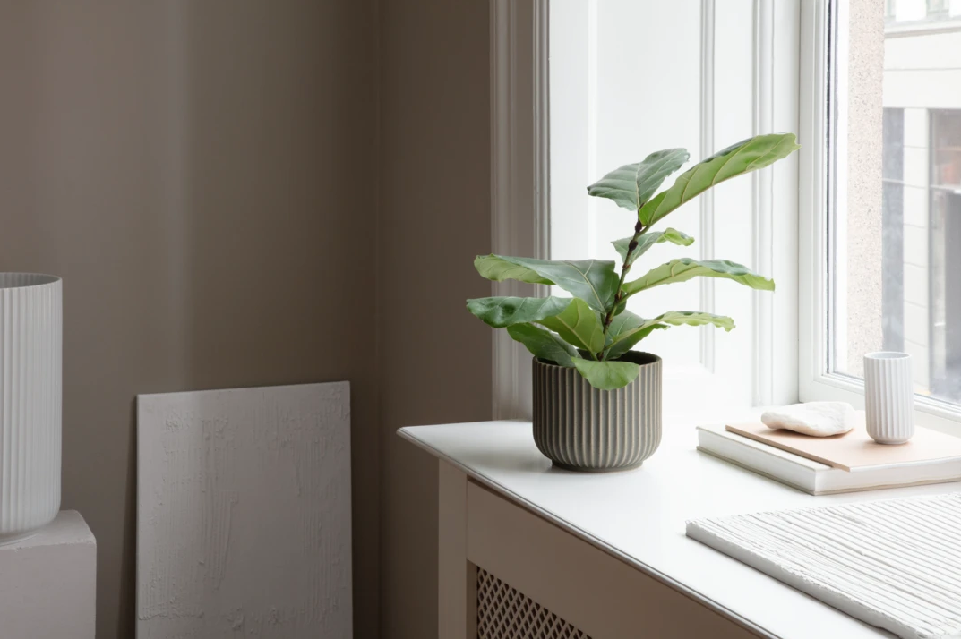 Blomsterpotte Ø14,5, Olivengrønn