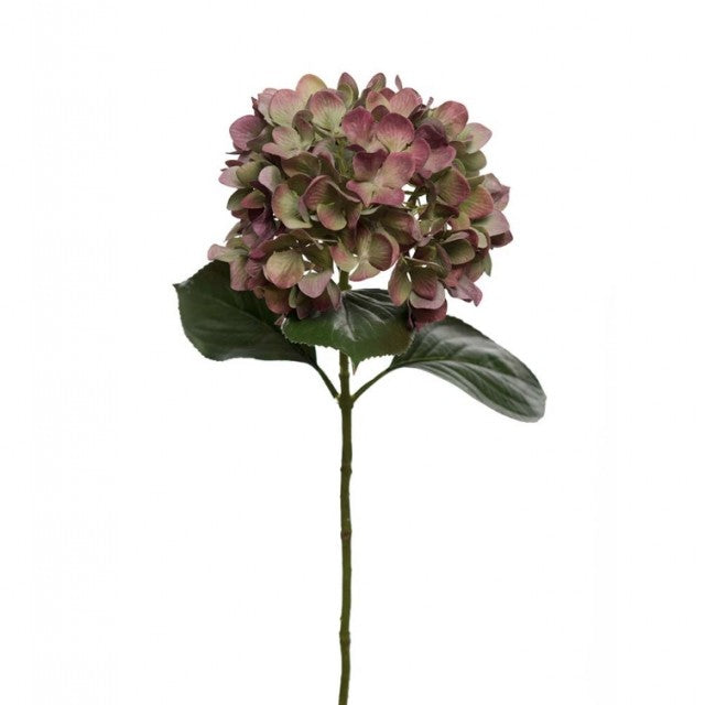 Hortensia Rød, 65cm