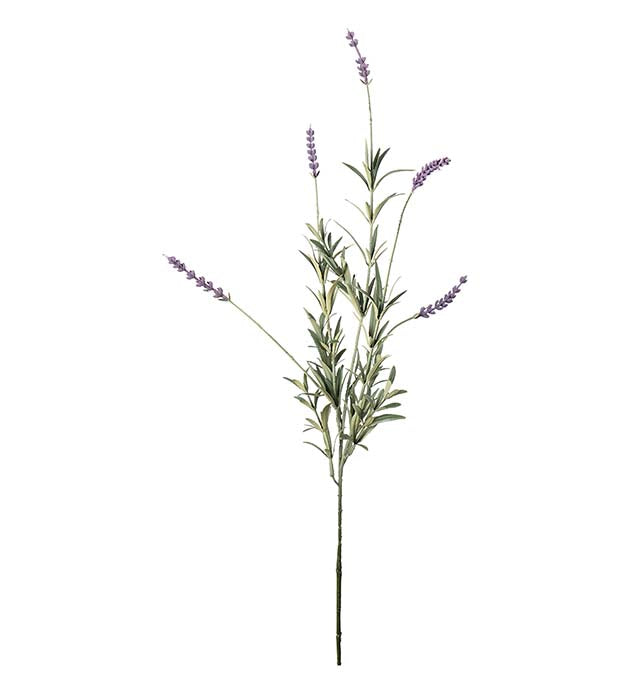 Lavendel, 65cm