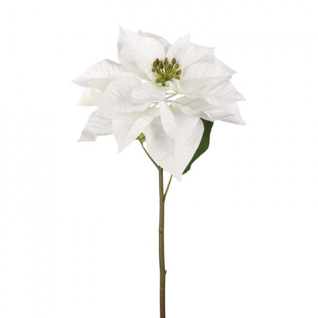 Julestjerne Hvit, 70cm