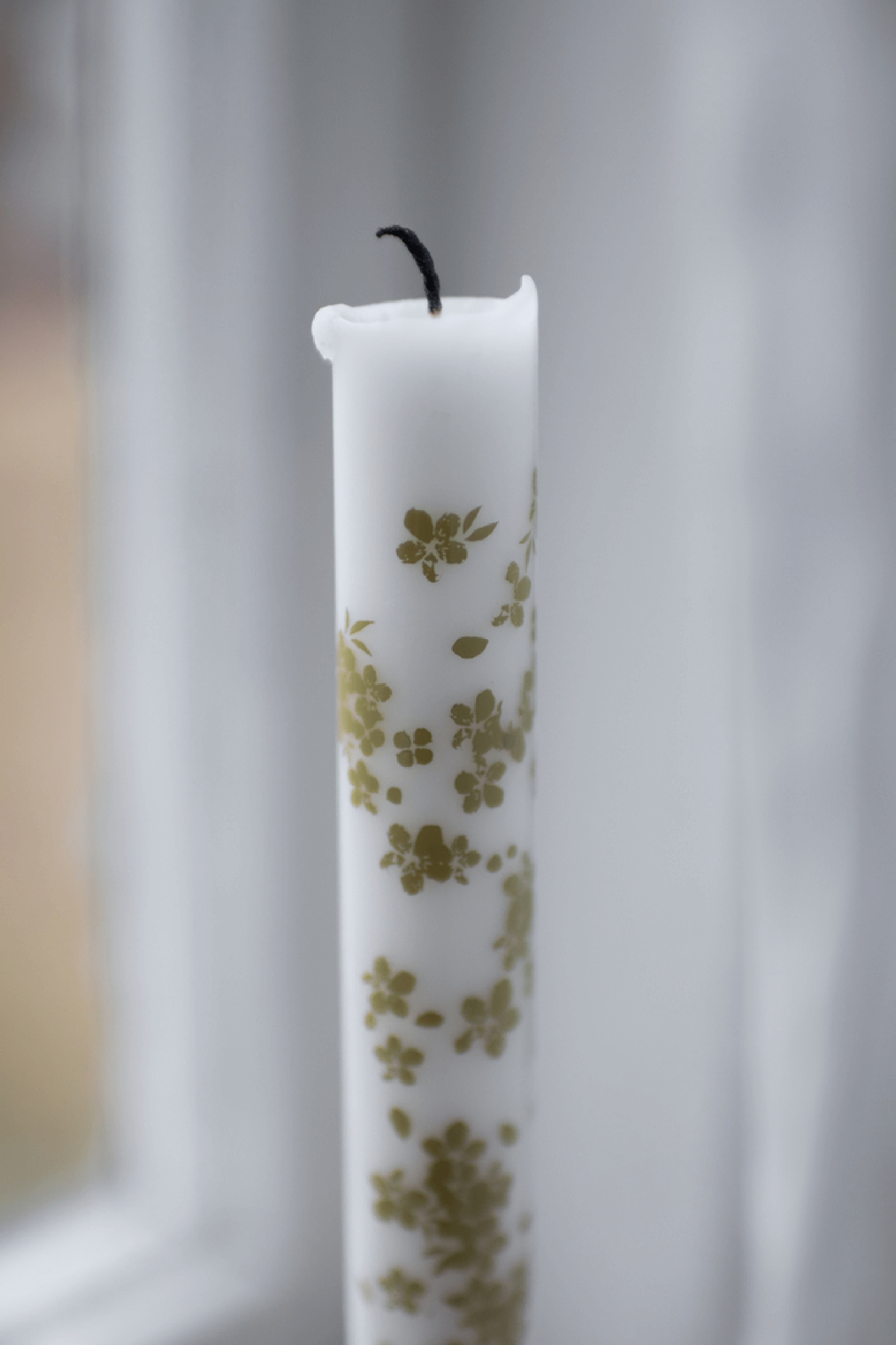 Slåpeblom grønn kronelys, 2 pk