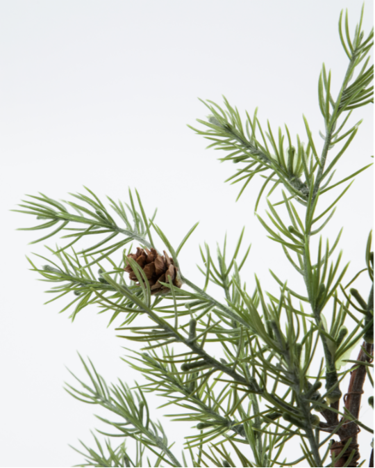 Krans, HDFrost, Grønn