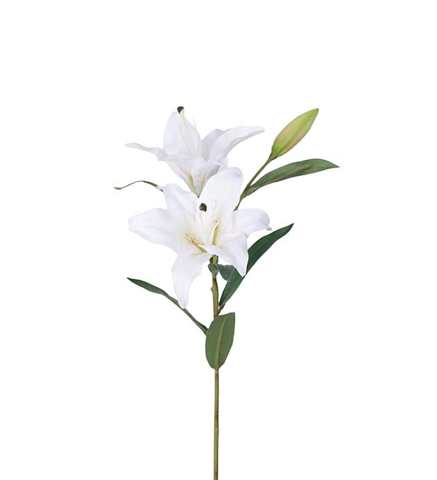 Lilje hvit, 60cm
