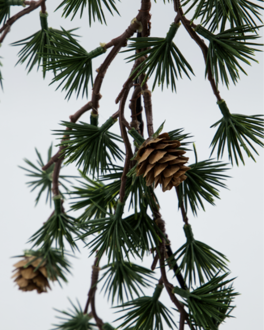 Krans, HDTorch, Grønn