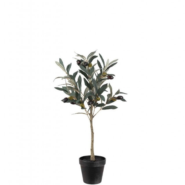 Oliventre i potte, 55cm