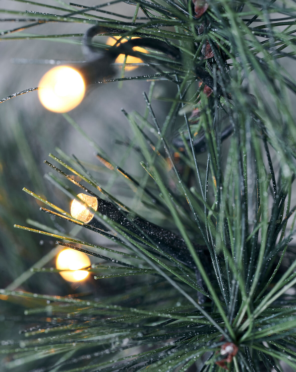 Juletre, HDPeuce