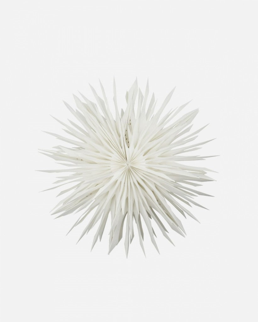 Papirstjerne Reef 50cm, Off-White