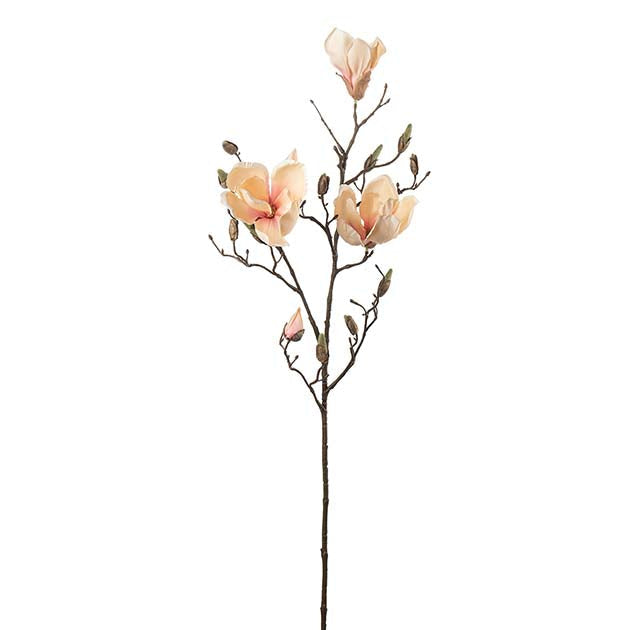 Magnolia Fersken, 88cm