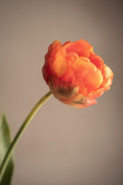 Tulipan Oransje, 67cm