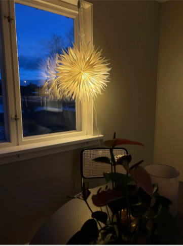 Julestjerne Rufs 50cm