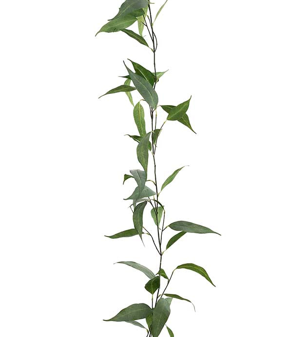 Eucalyptus girlander, 190cm