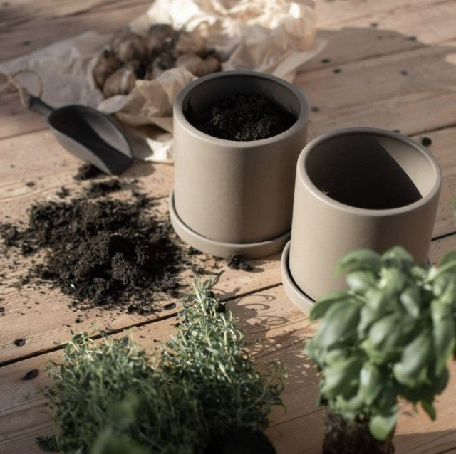 Grow Pot Ø13cm, Dust